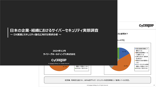 20241204_survey_report