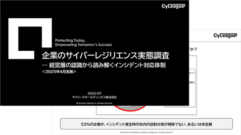 CyLeague_Survey_Report_202507